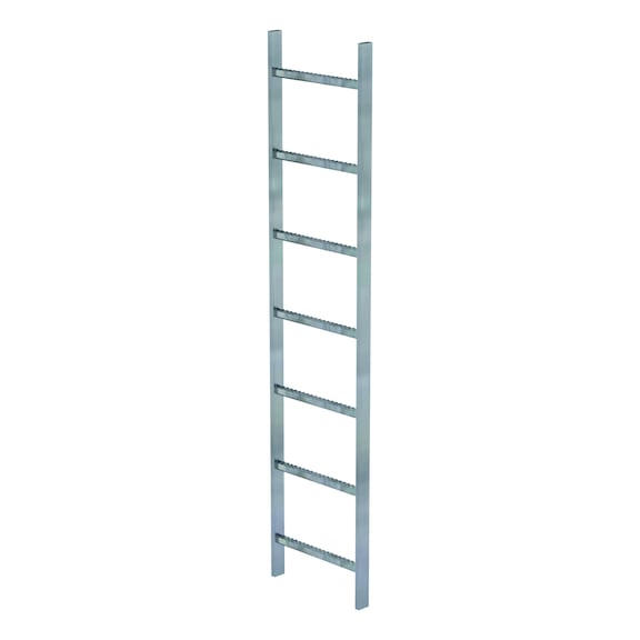 GÜNZBURGER hot-dip galvanised steel shaft ladder, clear width 400 mm, 7 rungs - 