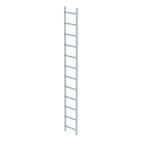 GÜNZBURGER V4A stainless steel shaft ladder, clear width 400 mm, 12 rungs - 