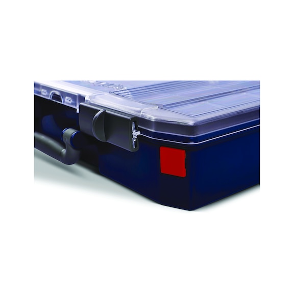 RAACO LMS ID labels for CarryLite assortment case 