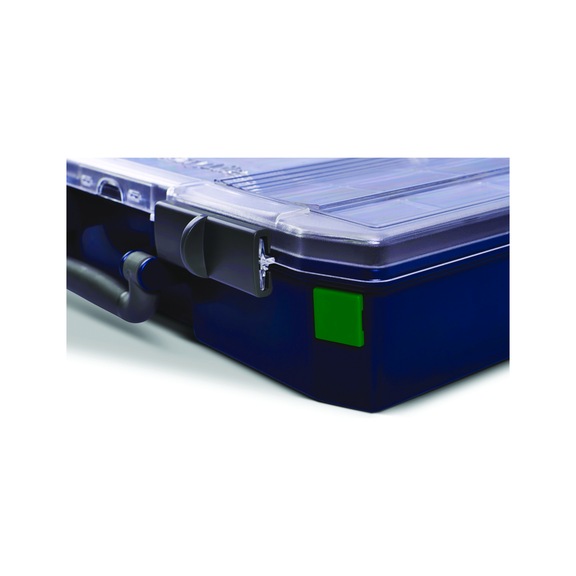 RAACO assortment case accessories CarryLite label green 10 pieces per set - LMS ID labels for CarryLite assortment case 