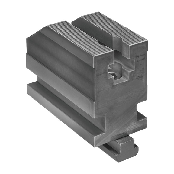 AMF 5-axis clamp assembly 6376A-50x100 Number 429472 - Clamping element, quick clamp (parts)