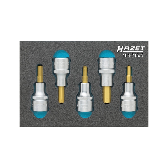 HAZET Schraubendreher Steckschlüsseleinsatz 5-teilig 1/2 Zoll Innensechskant - Schraubendrehereinsatz (Sortiment)