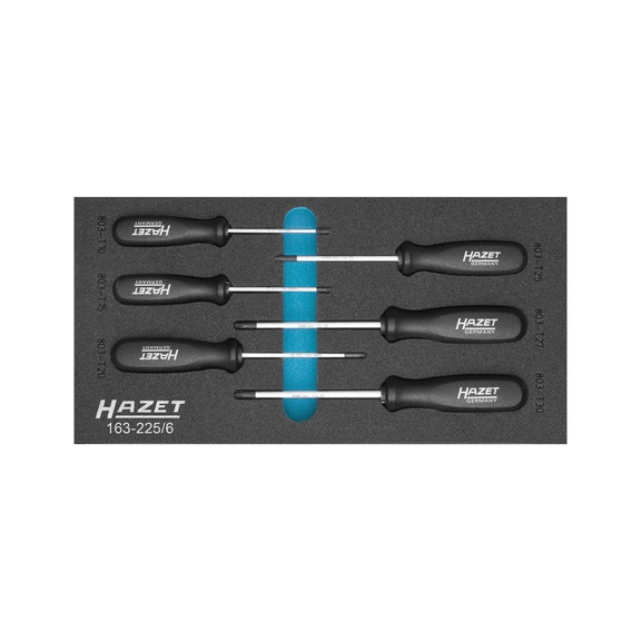 HAZET Schraubendreher Satz TX 6-teilig T10-T 30 - Werkzeugsortiment