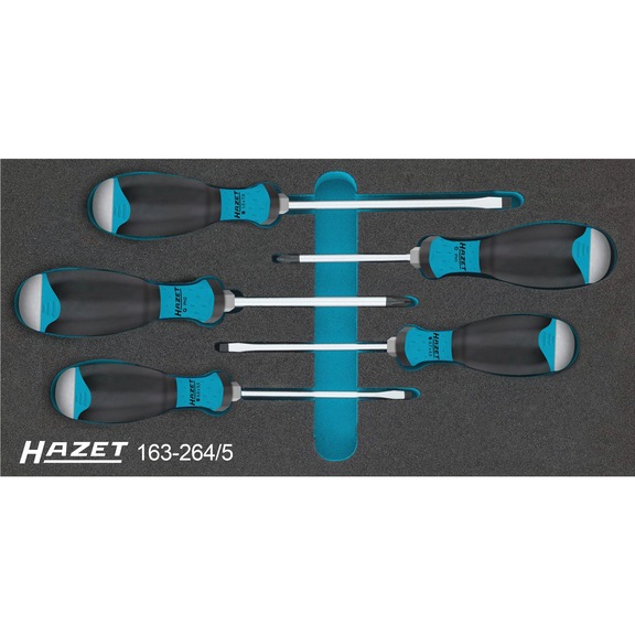 HAZET Screwdriver set with impact cap PH slotted PH1 PH2 5-piece - Tool assortment