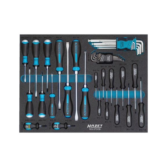 HAZET Schraubendreher Satz 39-teilig Schlitz PH Innen TX Innensechskant - Werkzeugsortiment