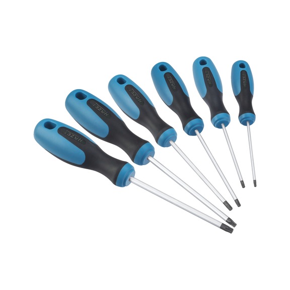 HAZET Schraubendreher Satz 810T/6 Innen TX Profil 6 Werkzeuge - Schraubendreher-Satz