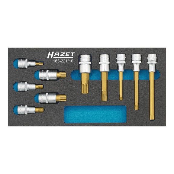HAZET Screwdriver socket set 163-221/10 Number of tools 10 - Screwdriver set