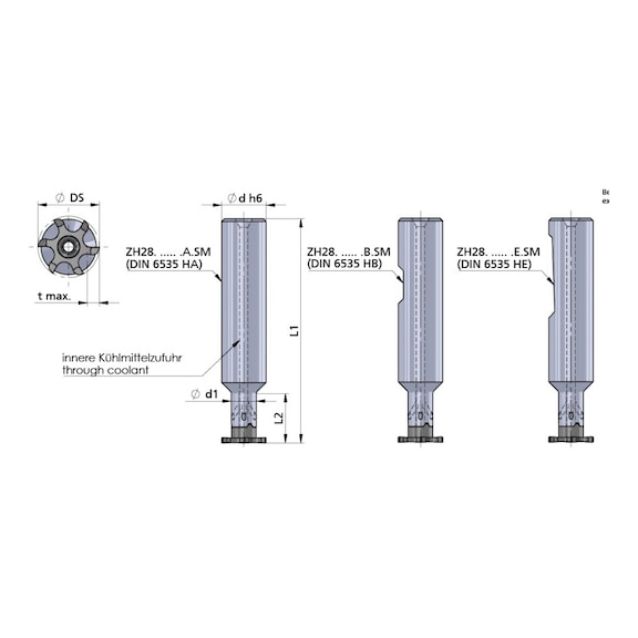ZH28.2015.30.E.SM DÜMMEL, Minimill Fräserschaft D=20x160 L2=30 - Typ ZG28, Minimill Fräserschaft