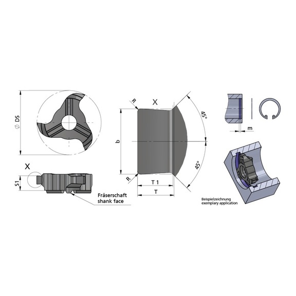 Z22.1610.35/AL41F DÜMMEL, Minimill Schneideinsatz Ø=22 b=1.71-0.02 t=1.0 - Typ Z22, Minimill Schneideinsatz