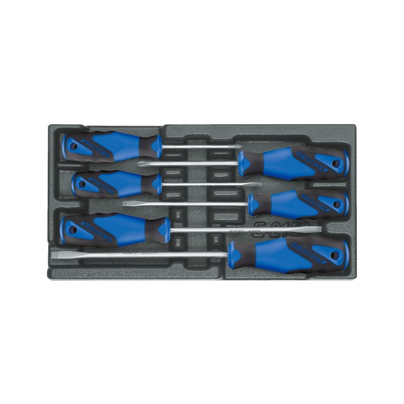 GEDORE Schraubendreher-Satz in 1/3 ES-Modul 6-teilig 1523708 - Schraubendreher-Satz