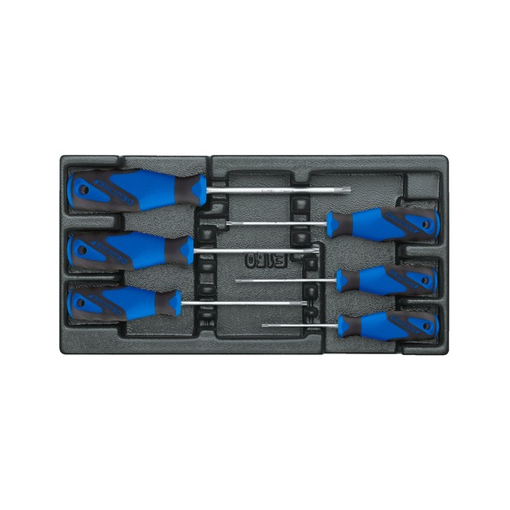 GEDORE Schraubendreher-Satz in 1/3 ES-Modul 6-teilig 1582666 - Schraubendreher-Satz