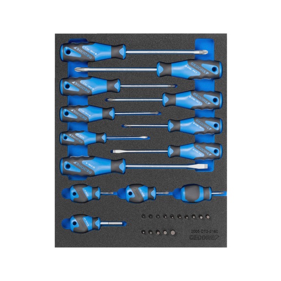 GEDORE screwdriver set in check tool module 15-piece 2016311 - Screwdriver set
