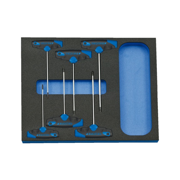 GEDORE Schraubendreher-Satz in Check-Tool-Modul 6-teilig 2016559 - Schraubendreher-Satz