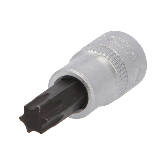 3/8 inch TX bit socket, T50 - 3/8 inch Torx bit socket