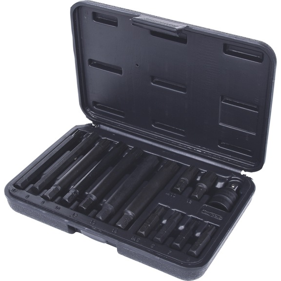 5/16 inch RIBE bit set, 14 pieces - Bit set