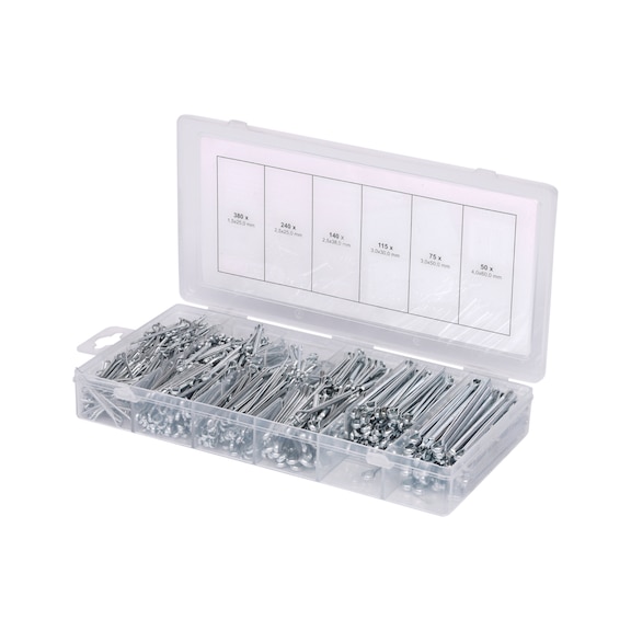 Assortment of split pins, 1000-piece - Cotter pin