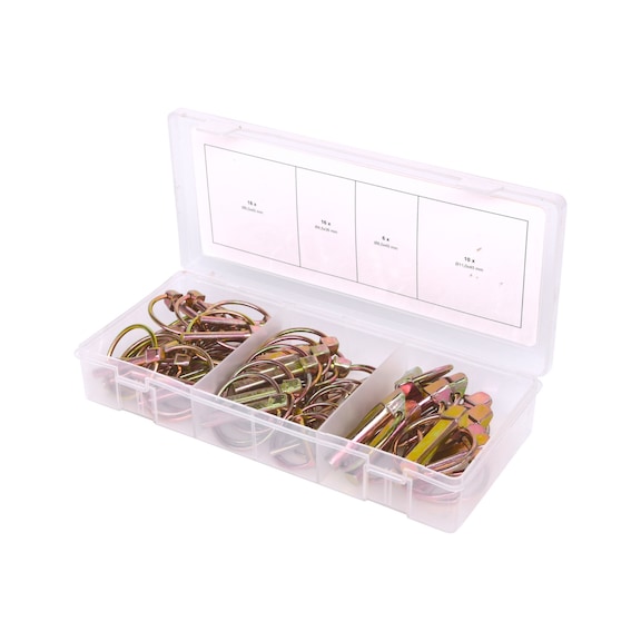 Assortment of folding pins, 50 pieces - Cotter pin