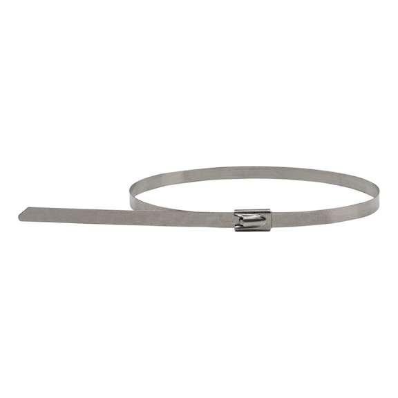 Stainless steel cable ties with ball closure, 4.6x250mm, 100 pieces - Tool (accessories, other)