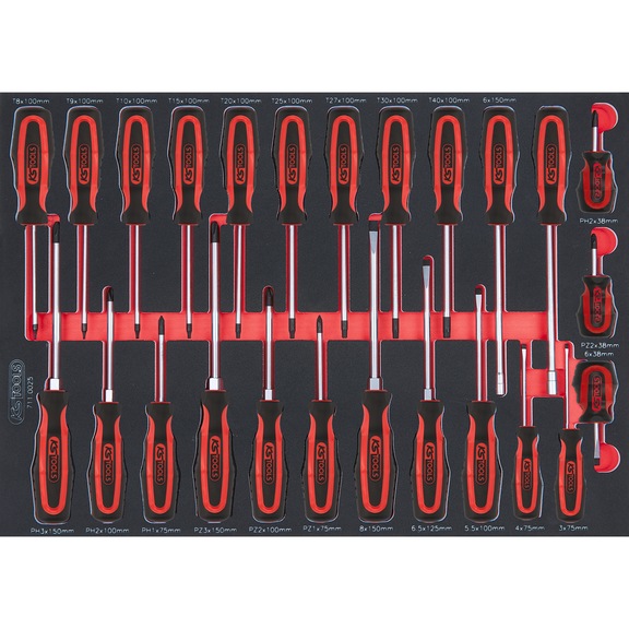 SCS ERGOTORQUEplus screwdriver set, 25 pieces in 1/1 system insert - Screwdriver set
