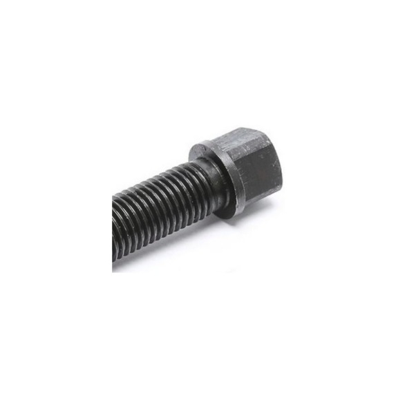 Screw square head M14*50 - screw