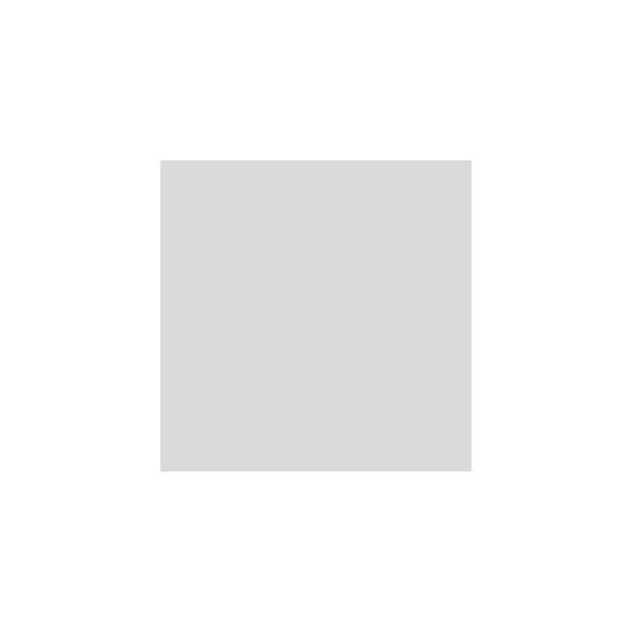 RED ROOSTER Flat chisel, wide Length 160 mm BEAA-OB-05 - Pneumatic tool (accessories, other)