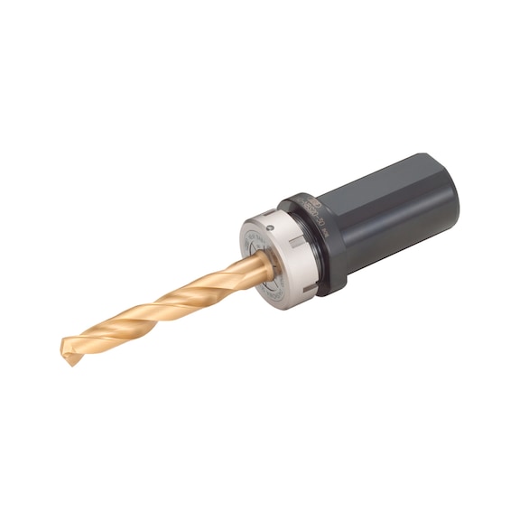 804.285 BIG DAISHOWA, Werkzeugaufnahme SLS25-NBS13-30 - SL, Werkzeugaufnahme New Baby Chuck Stopper