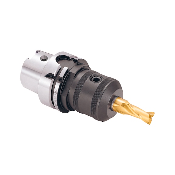 807.231 BIG DAISHOWA, Flächenspannfutter HSK-A100-ISL50-165 - HSK-A, Flächenspannfutter Weldonaufnahmen