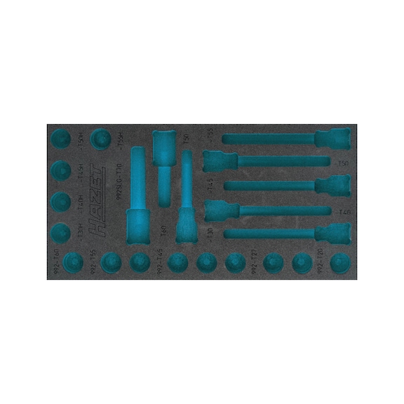 HAZET 2-Komponenten Weichschaum-Einlage 163-492L - Werkzeugsortiment