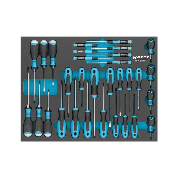 HAZET screwdriver set 163-524/31 slotted profile 31 tools - Tool assortment