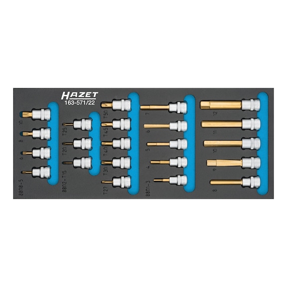 HAZET Schraubendreher-Steckschlüsseleinsatz Satz 22-teilig 163-571/22 - Steckschlüsselsatz