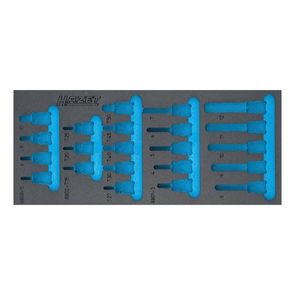 HAZET 2-Komponenten Weichschaum-Einlage 163-571L - Werkzeugsortiment