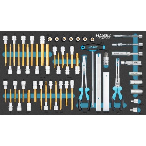 HAZET screwdriver socket set 163-603/52 52 tools - Tool assortment