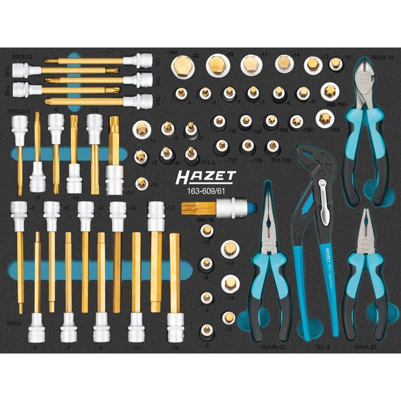 HAZET Screwdriver socket set 163-609/61 61 tools - Tool assortment