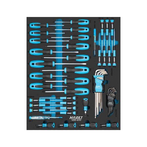 HAZET Schraubendreher Satz 163D-6/53 Anzahl der Werkzeuge 53 - Werkzeugsortiment