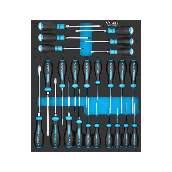 HAZET Screwdriver set 163D-7/24 Cross recess profile Number of tools 24 - Tool assortment