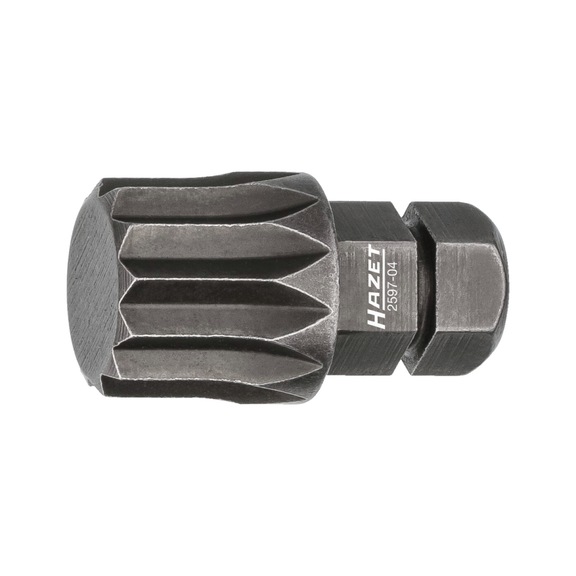 HAZET bit 2597-04 Hexagon 5/16 inch 8 mm internal multi-tooth profile XZN M12 - Bit screwdriver