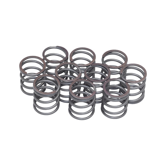 HAZET Spring set 9012SPC-05/10 - Pneumatic tool (accessories, other)