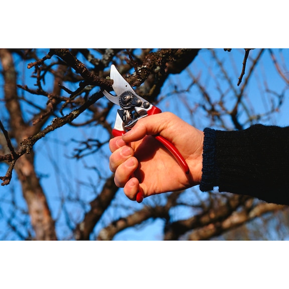 FELCO model 8 pruning shears - FELCO 8 pruning shears/secateurs