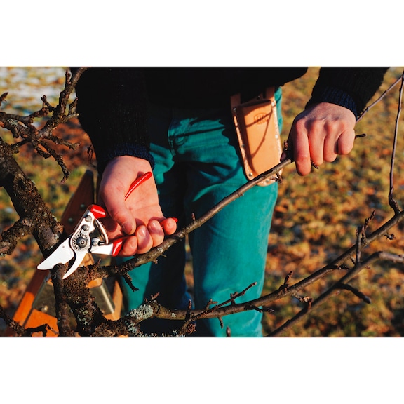 FELCO model 8 pruning shears - FELCO 8 pruning shears/secateurs