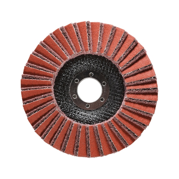 FEIN flap disc, coarse version Diameter 125 mm PU 5 pcs 63730020010 - Fan grinder