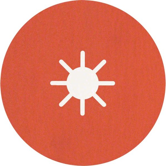 BOSCH EXPERT R782 Fiber disc 180 mm 22.23 mm K 120 25 pcs. 2608621831 - Fiber sanding disc