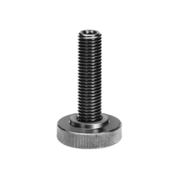 AMF support screw 6314S-M20x109 Number 74054 - Clamping element, quick clamp (parts)