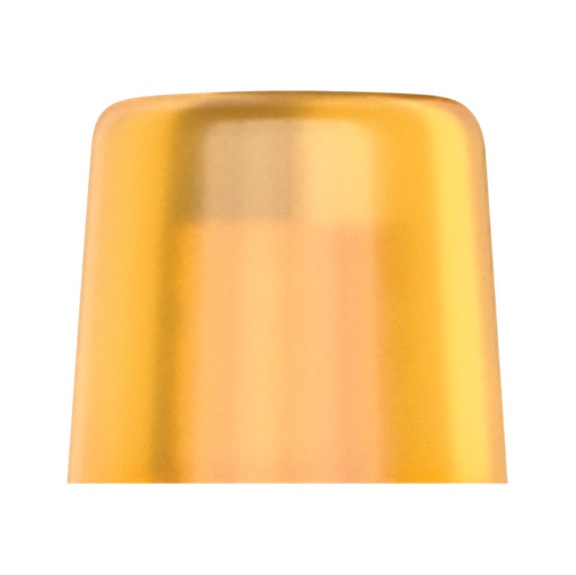 WERA Replacement head for soft-face mallet