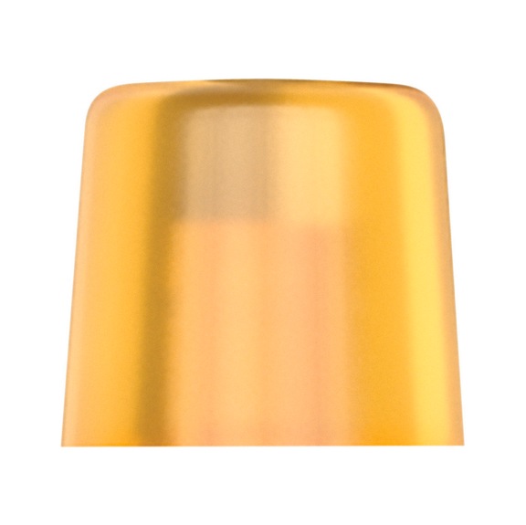 WERA WERA Loser Kopf 100 L aus Cellidor f&uuml;r Hammer 100 2x28 mm 05000110001 - Ersatzkopf f&uuml;r Schonhammer