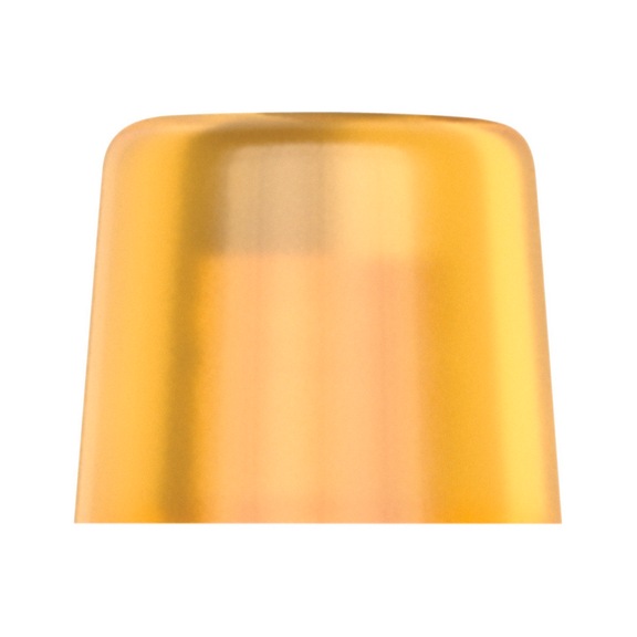 WERA Loose head 100 L made of Cellidor for hammer 100 3x33 mm 05000115001 - Replacement head for soft-face mallet