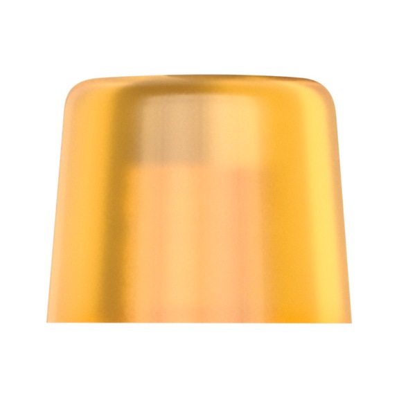 WERA Loose head 100 L made of Cellidor for hammer 100 4x36 mm 05000120001 - Replacement head for soft-face mallet