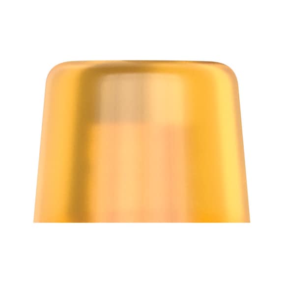 WERA Loose head 100 L made of Cellidor for hammer 100 5x41 mm 05000125001 - Replacement head for soft-face mallet