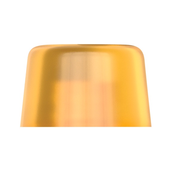 WERA Loose head 100 L made of Cellidor for hammer 100 7x61 mm 05000135001 - Replacement head for soft-face mallet