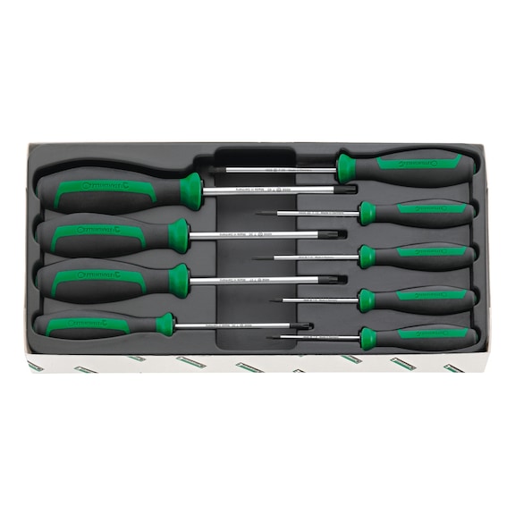 STAHLWILLE TX screwdriver set DRALL 4699 9-piece 96469915 - Screwdriver set