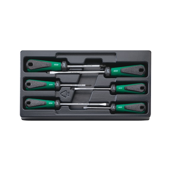 STAHLWILLE Screwdriver set 3K DRALL 4891 6-piece 96489110 - Screwdriver set